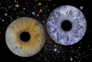 Eric ZUGMEYER - ZEFOTO